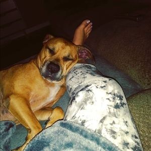 Meet your Posher, Kaley